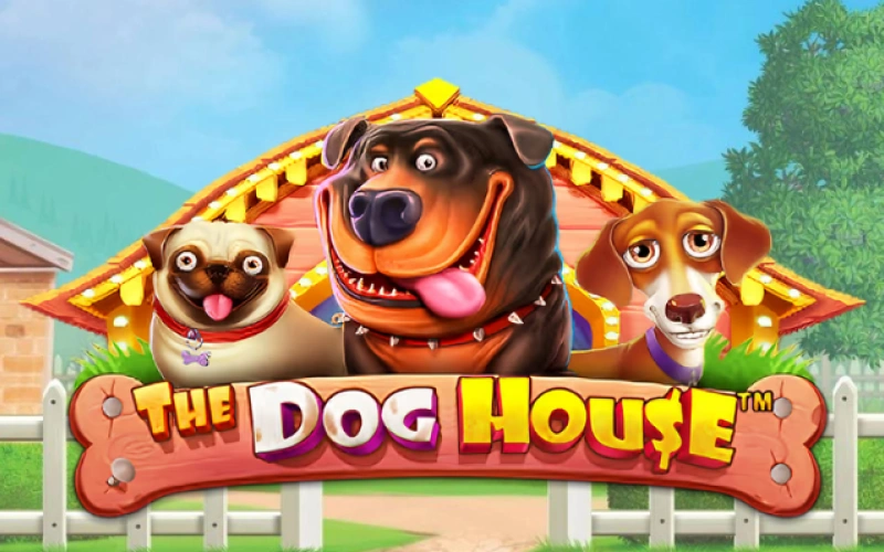 1Win Pakistan offers The Dog House slot with exciting bonus spins.